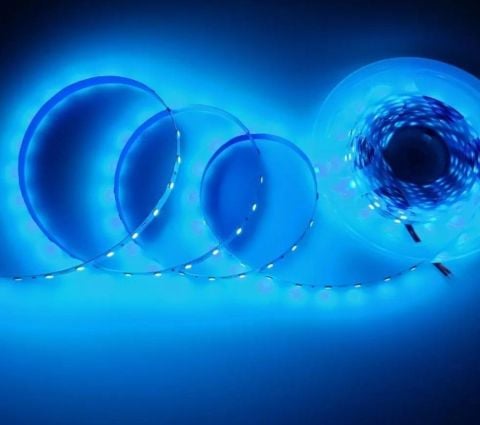 Cata 10 Çip İç Mekan Led Şerit Turkuaz CT-4471 - 5 Metre