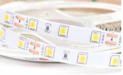 İnoled Yeşil İç Mekan Şerit Led 12v SMD 4040 Led 4324-04