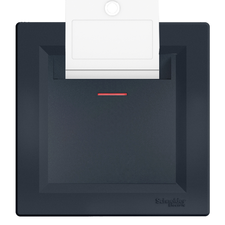 Schneider Asfora Plus Antrasit Energy Saver Mekanik Çerçeveli - EPH6200171